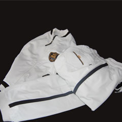 ITALIAN MAJOR LEAGUE<br>FOOTBALL